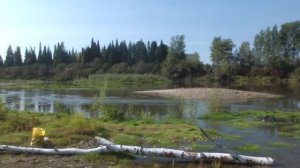 Хочу на рыбалку!...