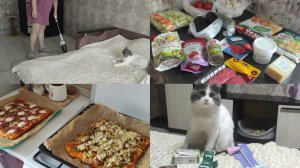 АРХИВ 2024 l vlog лёгкий способ дать коту таблетку! зоо-покупки 13.04.2024