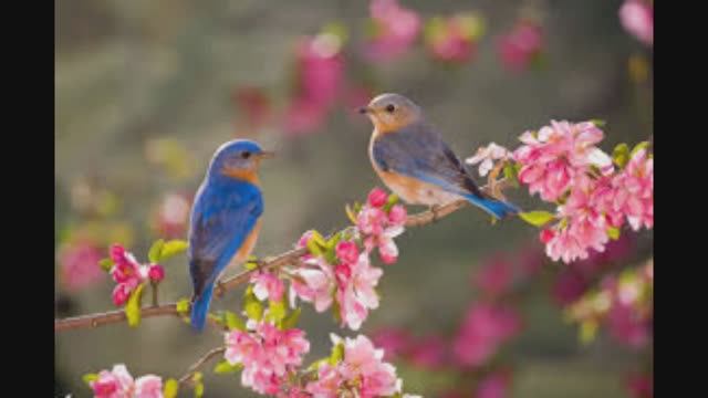 13 апреля - Ипатий Чудотворец. Традиции и народные приметы