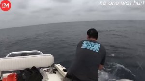 Приколы смотреть онлайн юмор