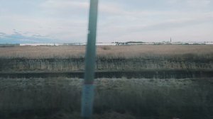 природа с мелодией 🌲