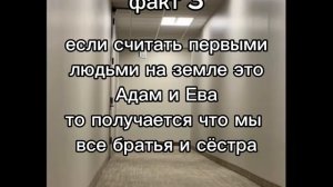 факт 3