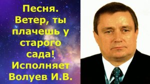 1491.В.Ю. ВИДЕО. Песня. Ветер, ты плачешь у старого сада! Исполняет Волуев И.В.