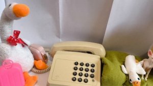 к гусю Степе приехал племянник Оливер! 1 часть