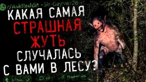 Что Самое ЖУТКОЕ/СТРАШНОЕ Вы Видели в ЛЕСУ?