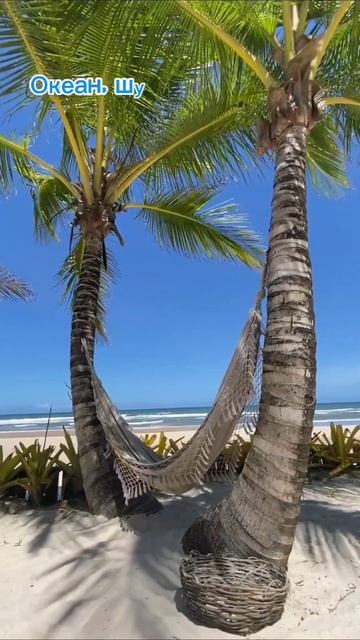 Позитивная, летняя песня