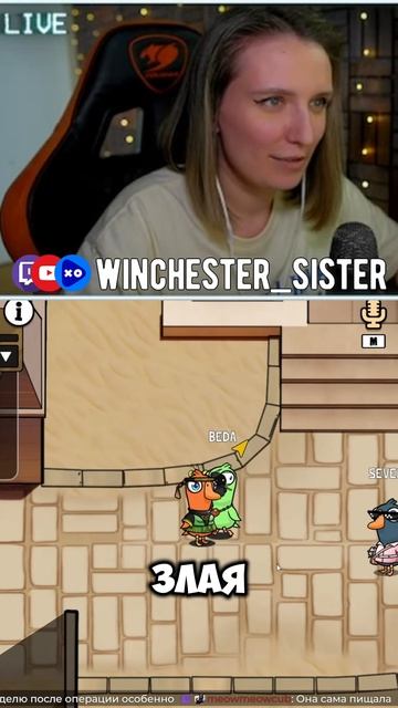 СКОЛЬКО ВОСТОРГА ► GOOSE GOOSE DUCK