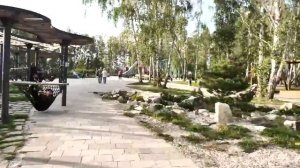 Один МИГ из жизни Челябинска.