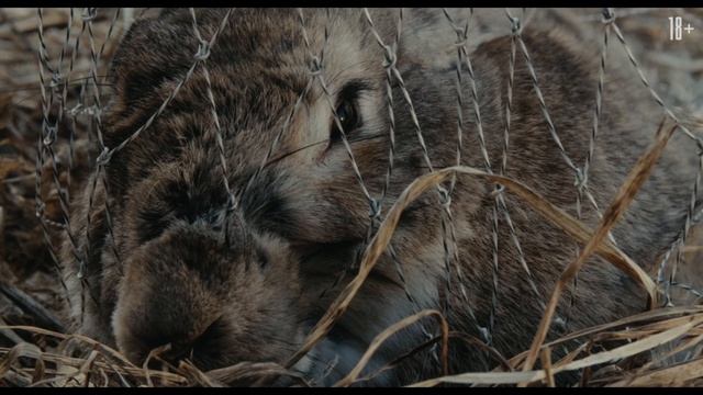 Шурале - 2026 (04)