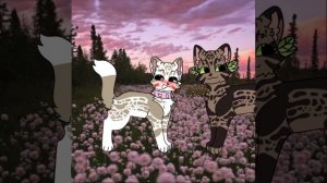 ликси канон