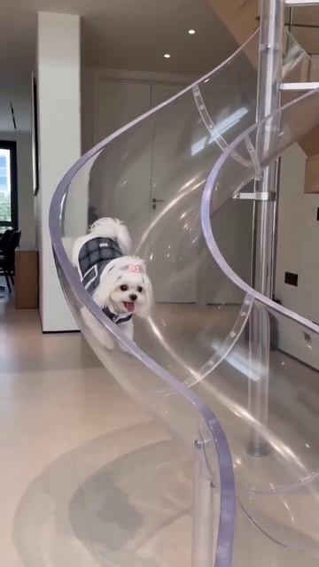 Индивидуальная траектория спуска для главного жильца