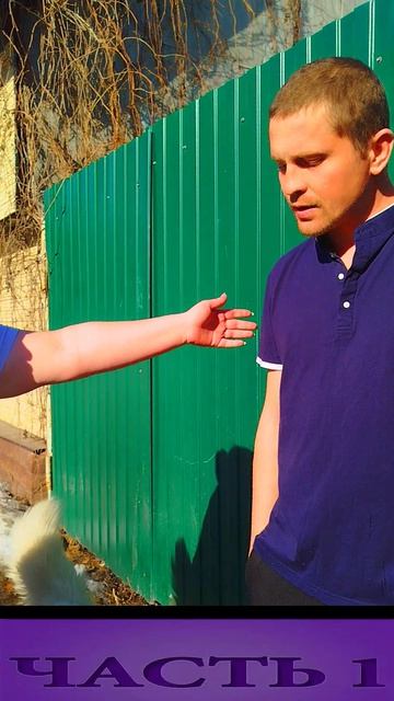 Скандал Собаку не дают забрать Жильцы Дома