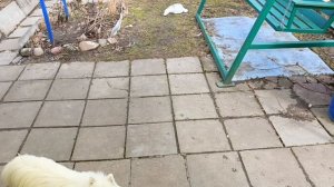 10-11.04.26. В предвкушении праздника. На дачу.