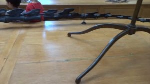 Dinosaurios y fósiles del Museo de Historia Natural de París