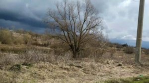 Новополянье! Прогулялись на пруд.