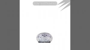 я люблю тюленей !! это ответка одному человеку