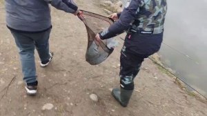 поимка осетра Никонора