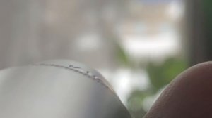 Второй мир из микроскопа