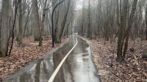 Это Уфа, прогулка под дождем город, лес, весна 2026