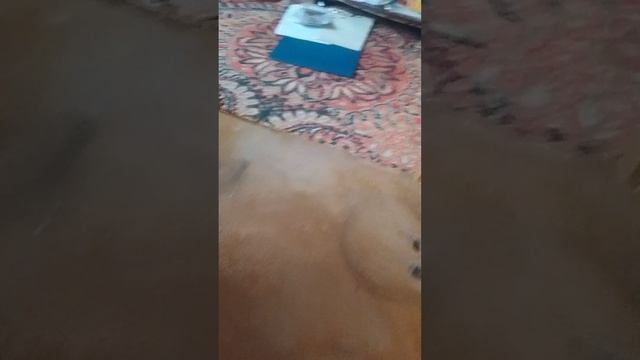 откуси лизни либо нифига не получи