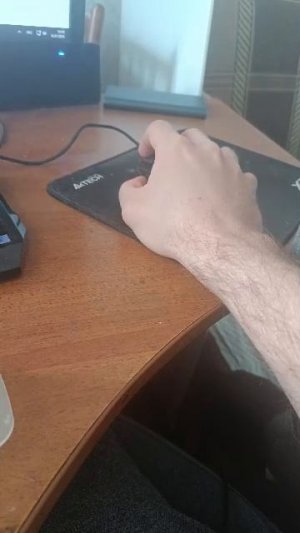 соревнования 12042026