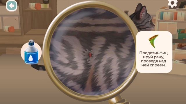 Кошачий приют #1