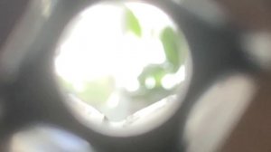 Телескоп головки на 21