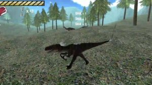 приключения от совы