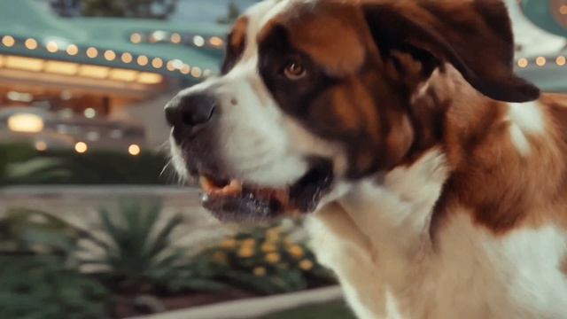 Будущее 1950 годов