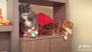 МАЛЫШИ ПОССОРИЛИСЬ