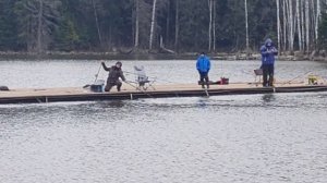 поимка форели