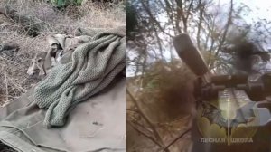 Как маскироваться, принципы маскировки