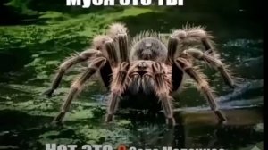 Село Молочное 15сек.