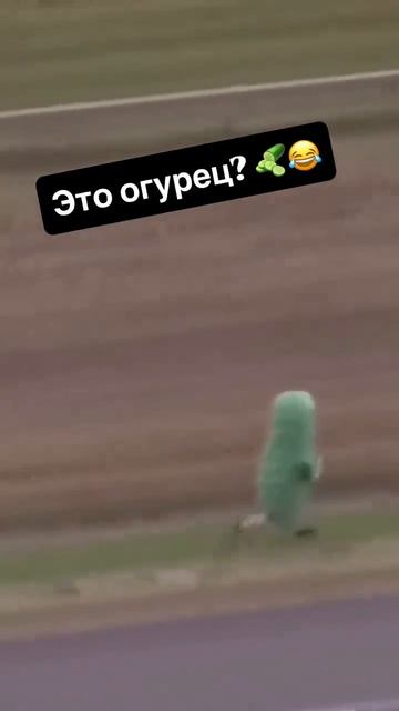 Полиция огурец