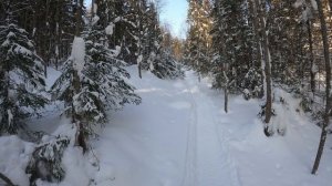 Усть койва 21-22.02.2026