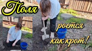 Ейск ! Разные работы в малом доме, Поля взялась за чистку двора и разные дела.