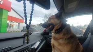 Рыжиу увидел впервые пятёрочку