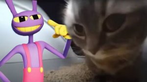 ДЖЕКС ИЗ ЦИФРОВОГО ЦИРКА ПОЁТ ЧИПИ ЧИПИ ЧАПА ЧАПА СМЕШНАЯ ПЕСЕНКА РЕМИКС МУЛЬТИК ЦИФРОВОЙ ЦИРК