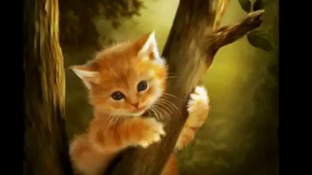 Незнакомка