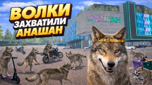 ВОЛКИ НАВЕЛИ СУЕТУ НА АНАШАНЕ | АМАЗИНГ ОНЛАЙН