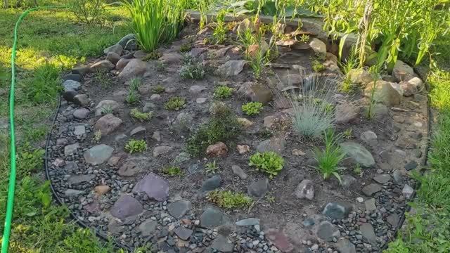 Альпийская горка своими руками, лето 2022 года.