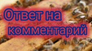Ответ на комментарий 🐝