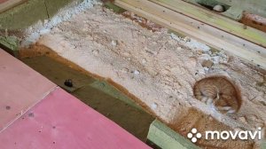 Потолок мансардного этажа утеплен, дом из бруса.