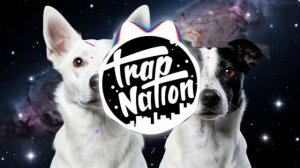 Земляне & Trap Nation RU - Трава у дома