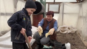 ЧТО ДЕЛАТЬ ВЕСНОЙ С КАЛЛАМИ И КТО ПРИШЕЛ К НАМ НА УЧАСТОК