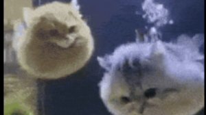 Vlog: Океанариум 🫧🐋