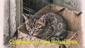 Солнечный луч, твой тёплый бочок,