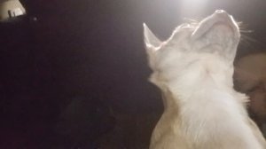 я включила камеру без разрешения и произошло то что мы не ожидали 😱