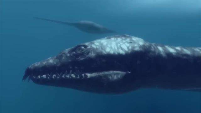 1000007955.mp4