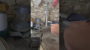 😲 Реакция Лаки доги на домик🐶2 часть